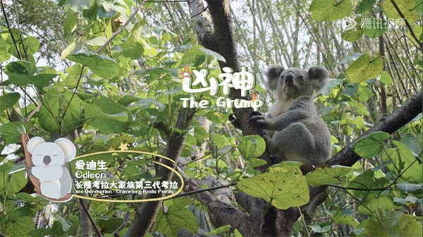 图片6.jpg 图片6.jpg
