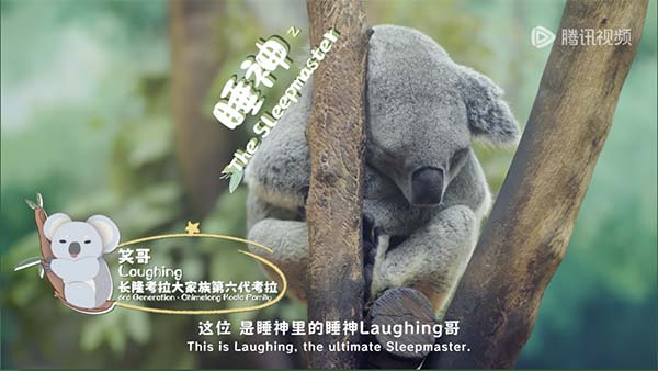 图片4.jpg 图片4.jpg