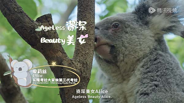 图片7.jpg 图片7.jpg