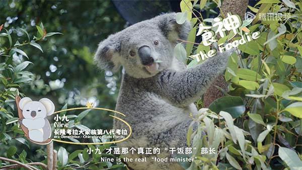 图片3.jpg 图片3.jpg