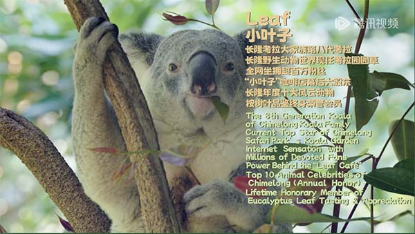 图片2.jpg 图片2.jpg